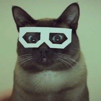 Я пушистый cat Я пушистый cat