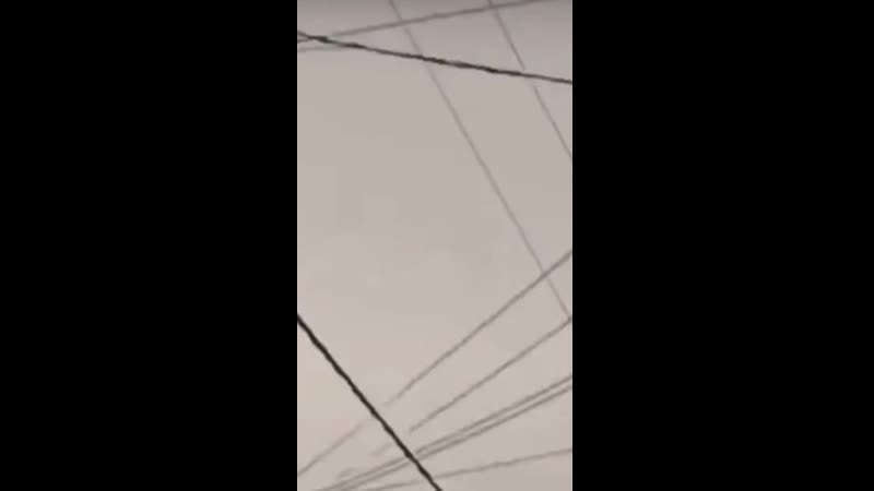Chicken flip