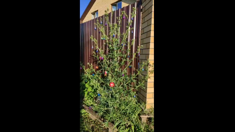 DJI_20200705_190435_5_video.mp4