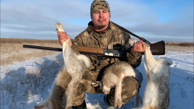 охота на зайца kingdom