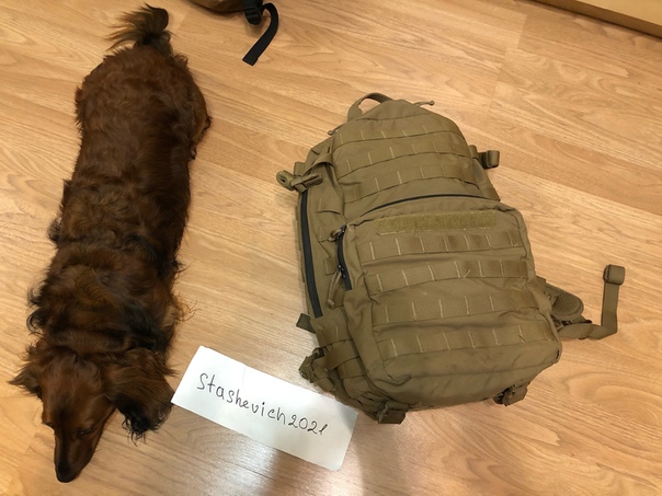 Фотография лота