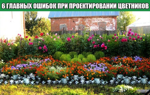 6 ГЛАВНЫХ ОШИБОК ПРИ ПРОЕКТИРОВАНИИ ЦВЕТНИКОВ Ошибка 1. Не учтены сроки цветения растений.Пришла весна. Ваши цветники радуют обильным цветением луковичных. Пара недель красоты и все. Лето только