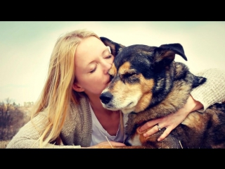 САМЫЕ ИНТЕРЕСНЫЕ ФАКТЫ О СОБАКАХ !