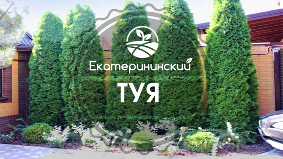 Екатерининский Питомник Валдай Интернет Магазин