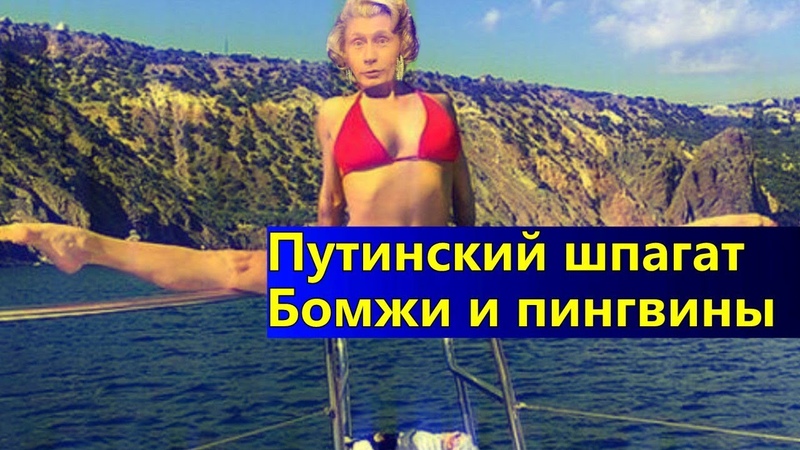 Путинский шпагат ,роботы пингвины