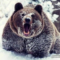Александр Майский