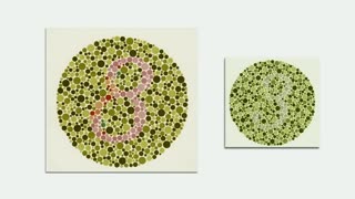 НаучПок Можно ли вылечить дальтонизм.mp4